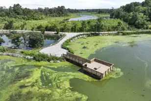 231 Yarrow Wy, Moncks Corner, SC 29461 - Photo 19