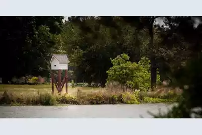 1491 Clay Field Trail, Summerville, SC 29485 - Photo 43