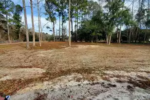 3109 Wire Rd, Saint George, SC 29477 - Photo 31