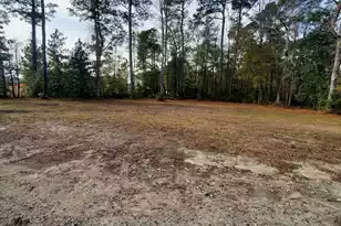 3109 Wire Rd, Saint George, SC 29477 - Photo 37