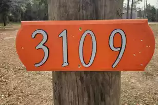 3109 Wire Rd, Saint George, SC 29477 - Photo 27