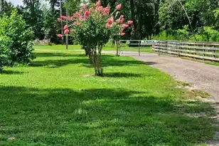 3109 Wire Rd, Saint George, SC 29477 - Photo 59