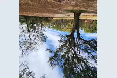 0 Campbell Thickett Road, Ridgeville, SC 29472 - Photo 9