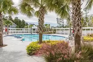 113 Golden Allagash Wy, Summerville, SC 29485 - Photo 43