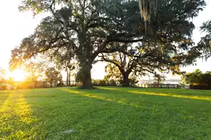 132 Etta Wy, Daniel Island, SC 29492 - Photo 5