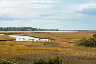 2262 Folly Road, Charleston, SC 29412 - Photo 35