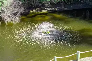 2262 Folly Road, Charleston, SC 29412 - Photo 59