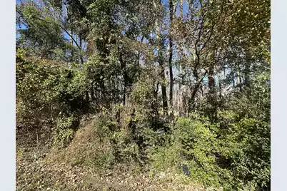 00 Five Chop Road, Elloree, SC 29047 - Photo 3