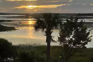 133 Marsh View Villas, Folly Beach, SC 29439 - Photo 11
