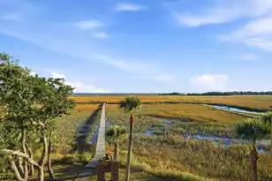 162 Tranquility Ln, Edisto Island, SC 29438 - Photo 41