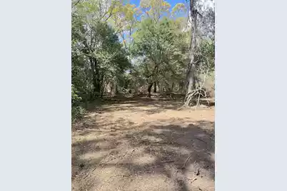 0 Roberta Drive, Eutawville, SC 29048 - Photo 5