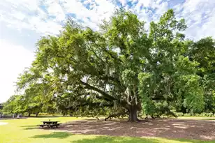 194 Fishburne St, Charleston, SC 29403 - Photo 39