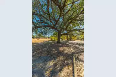 565 Tolle Farm Road, Cottageville, SC 29435 - Photo 19