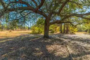 565 Tolle Farm Rd, Cottageville, SC 29435 - Photo 19