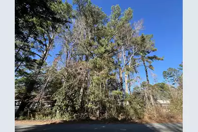 228 Wilson Drive, Summerville, SC 29483 - Photo 3