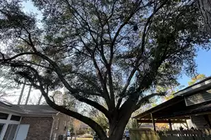 115 Donna Dr, Summerville, SC 29483 - Photo 39