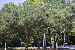 1025 Riverland Woods Pl, Charleston, SC 29412 - Photo 23