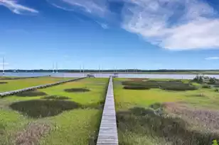 2612 Starfish Dr, Johns Island, SC 29455 - Photo 61