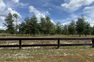 Lot 10-5 Marion Rd, Dorchester, SC 29437 - Photo 3