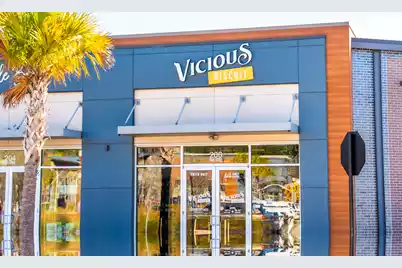 426 Great Egret, Summerville, SC 29486 - Photo 73