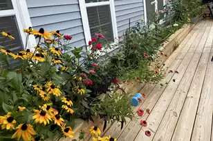 107 Levis Song Ct, Goose Creek, SC 29445 - Photo 69