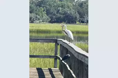 212 Bull Point Drive, Seabrook, SC 29940 - Photo 11