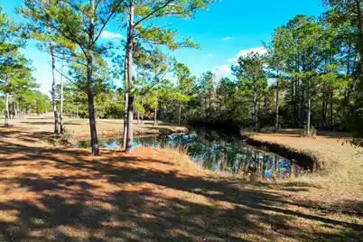 6615 Old Jacksonboro Road, Ravenel, SC 29470 - Photo 55