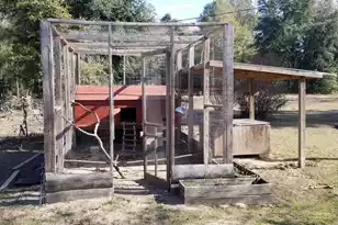 200 Wilson Rd, Varnville, SC 29944 - Photo 41