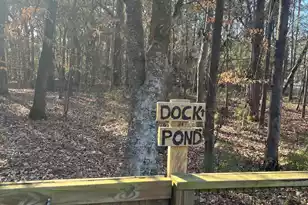 1109 Rearick Road, Johns Island, SC 29455 - Photo 51