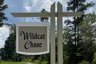 312 Clipper Ct, Summerville, SC 29486 - Photo 41