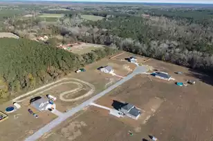 119 Braxton Rd, Harleyville, SC 29448 - Photo 41