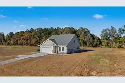 119 Braxton Road, Harleyville, SC 29448 - Photo 51