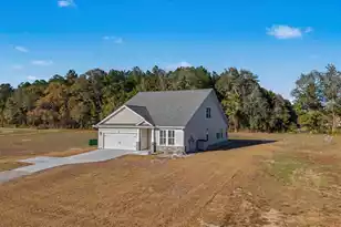 119 Braxton Rd, Harleyville, SC 29448 - Photo 51