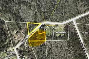 224 Greenlee St, Kingstree, SC 29556 - Photo 11