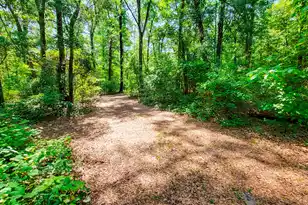 328 Sandy Springs Cir, Walterboro, SC 29488 - Photo 27
