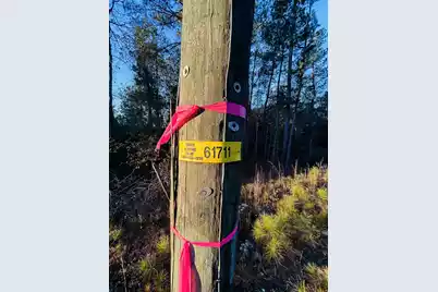 00 Live Oak Road, Ridgeville, SC 29472 - Photo 31