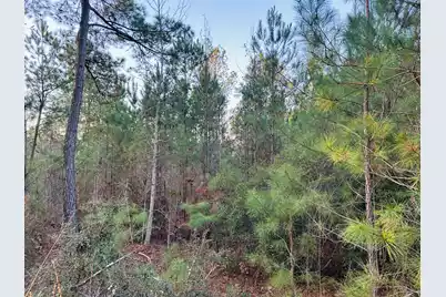 00 Live Oak Road, Ridgeville, SC 29472 - Photo 29