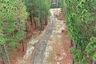 6797 M W Rickenbaker Rd, Summerton, SC 29148 - Photo 37