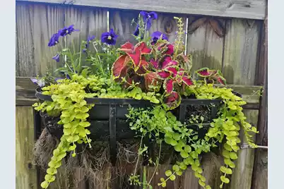 102 Bill Park Drive, Summerville, SC 29485 - Photo 21