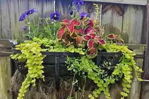 102 Bill Park Dr, Summerville, SC 29485 - Photo 21