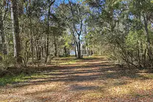 9450 Savannah Hwy, Adams Run, SC 29426 - Photo 3