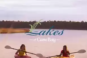 736 Maynard Ln, Summerville, SC 29486 - Photo 41