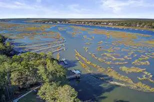 1740 Bolden Dr, Mount Pleasant, SC 29466 - Photo 81