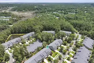 132 Fresh Meadow Ln, Mount Pleasant, SC 29466 - Photo 51