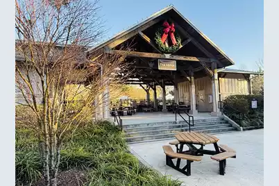 9977 Winged Elm Street, Ladson, SC 29456 - Photo 59