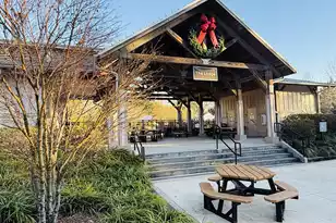 9977 Winged Elm St, Ladson, SC 29456 - Photo 59