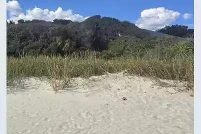 1217 Ashley Avenue E, Folly Beach, SC 29439 - Photo 5