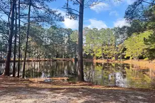 1822 James Gregarie Road S, Mount Pleasant, SC 29466 - Photo 53