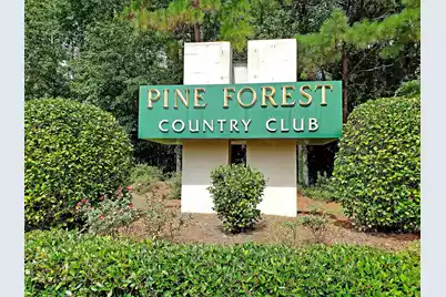 112 Riviera Drive, Summerville, SC 29483 - Photo 41