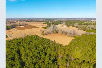 Tbd Olin Road, Summerton, SC 29148 - Photo 5